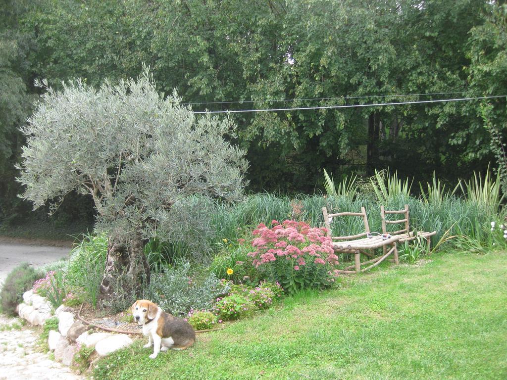 Agriturismo Campagnoletto Cavriana Экстерьер фото