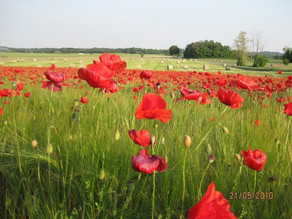 Agriturismo Campagnoletto Cavriana Экстерьер фото