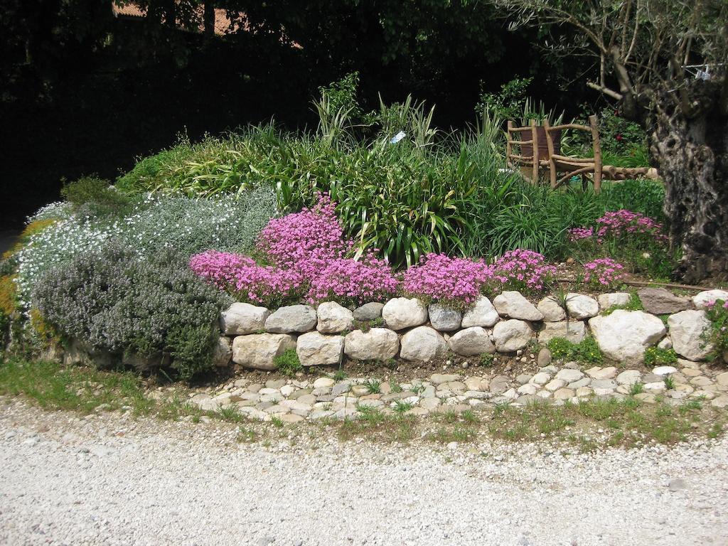 Agriturismo Campagnoletto Cavriana Экстерьер фото
