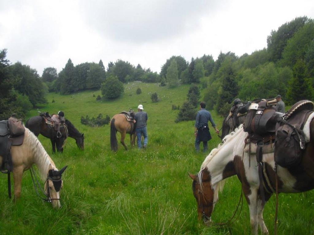 Agriturismo Campagnoletto Cavriana Экстерьер фото