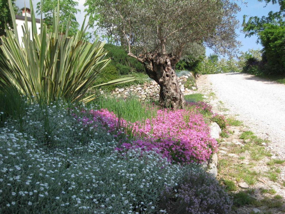 Agriturismo Campagnoletto Cavriana Экстерьер фото